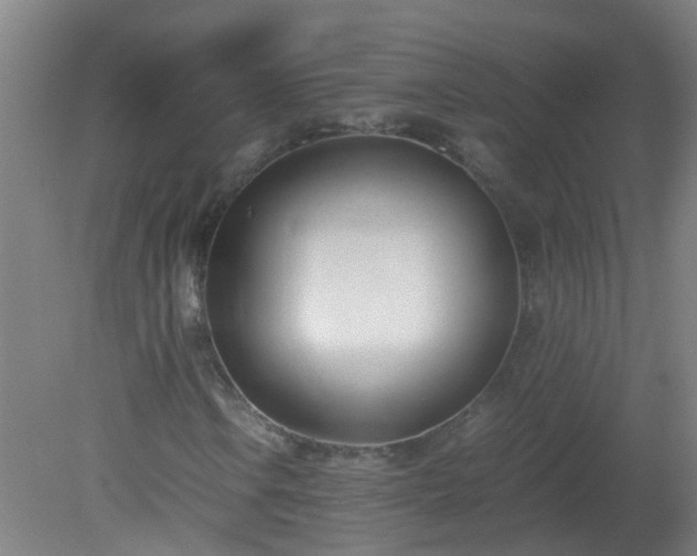 X0000080171106200612151915