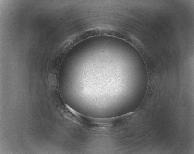 X0000080171110200612151915