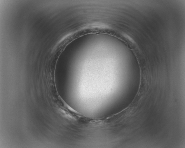 X0000080171112200612151915