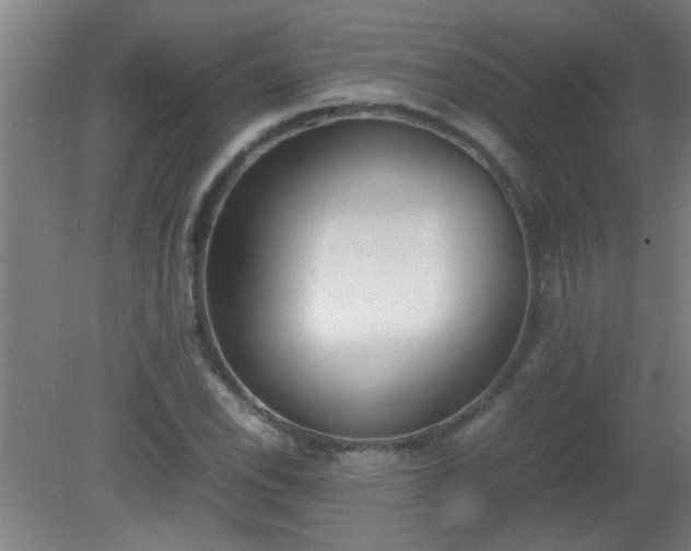 X0000080171118200612151915