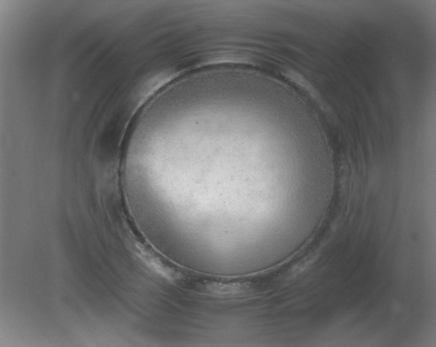 X0000080171121200612151915