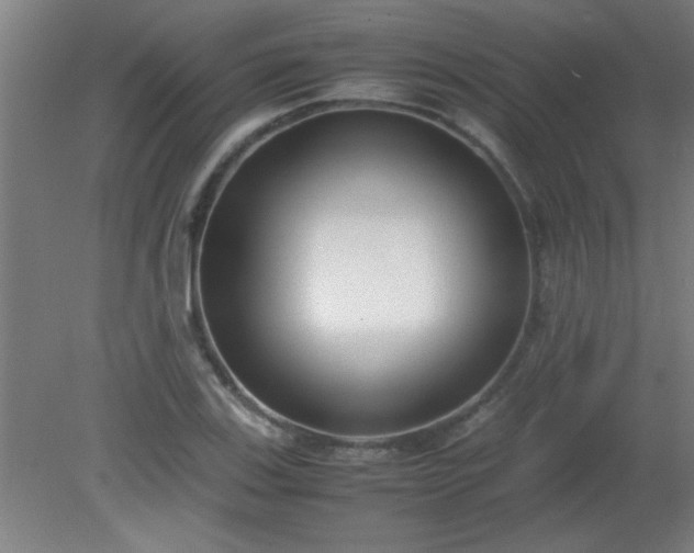 X0000080171123200612151915