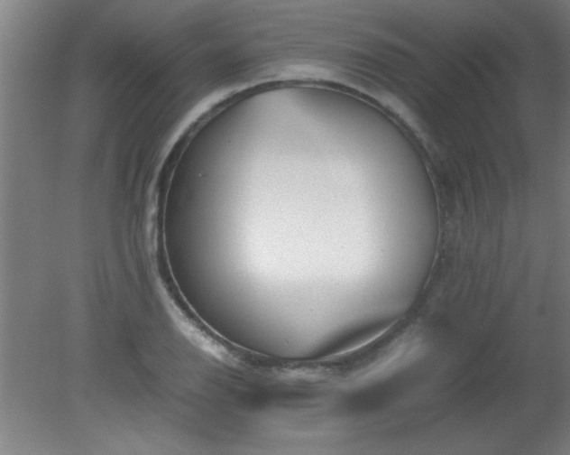 X0000080171126200612151915