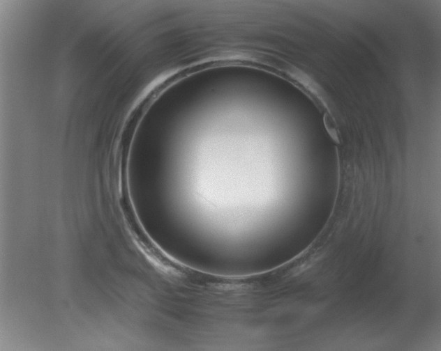 X0000080171127200612151915