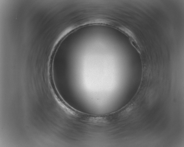 X0000080171135200612151916