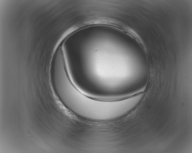 X0000080171138200612151916