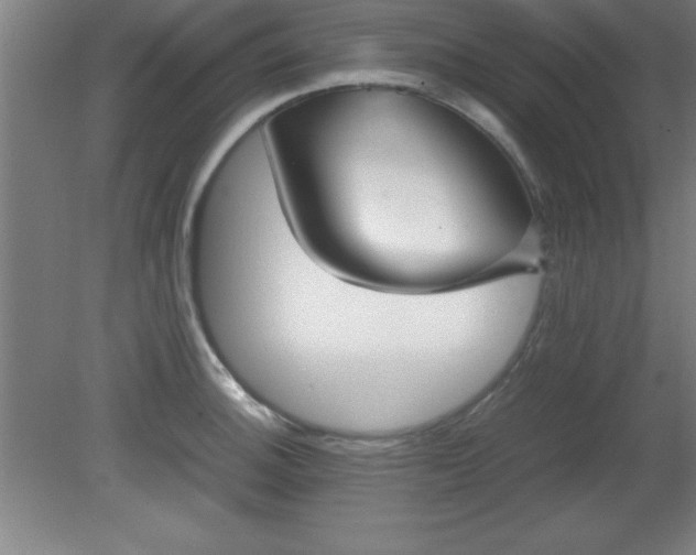 X0000080171140200612151916