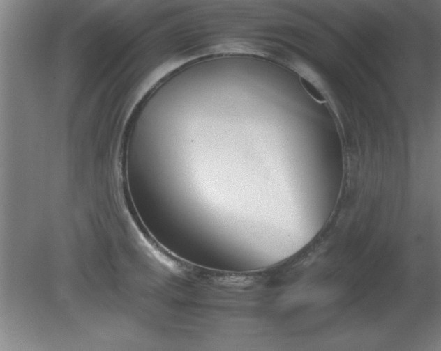 X0000080171141200612151916