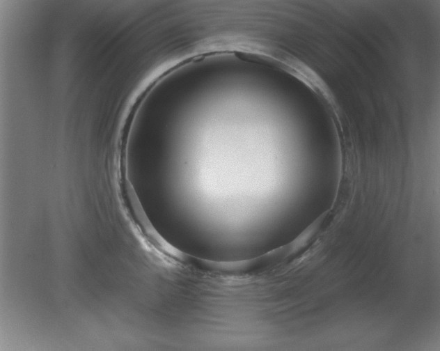 X0000080171144200612151916
