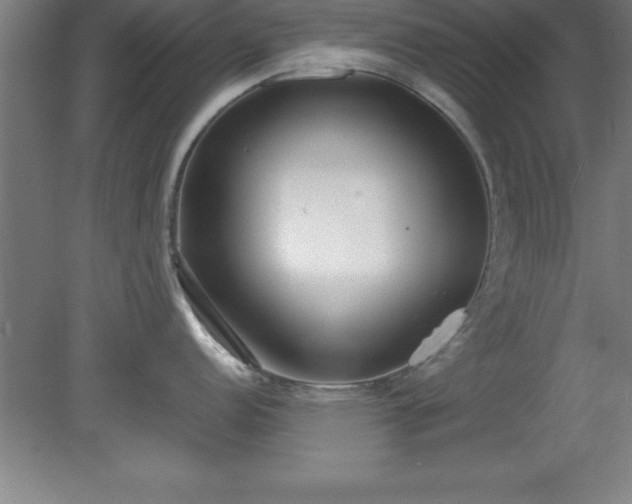 X0000080171152200612151916