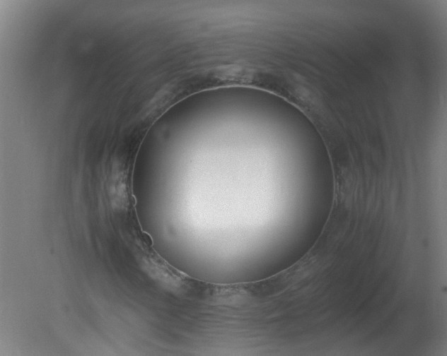 X0000080171154200612151915