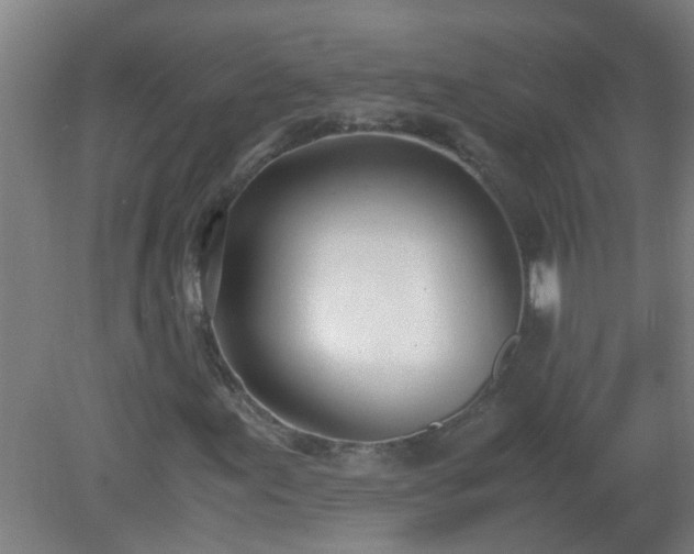 X0000080171155200612151915