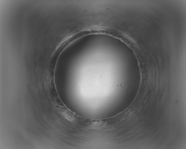 X0000080171160200612151915