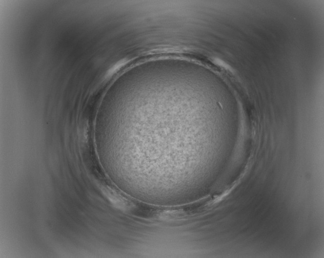 X0000080171161200612151915