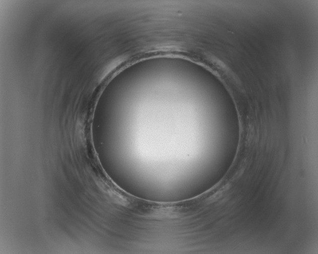 X0000080171162200612151915