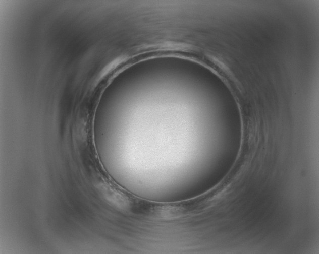 X0000080171163200612151915