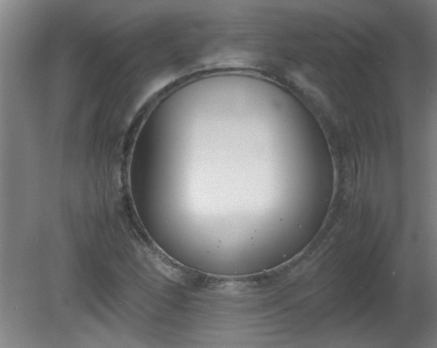 X0000080171166200612151915