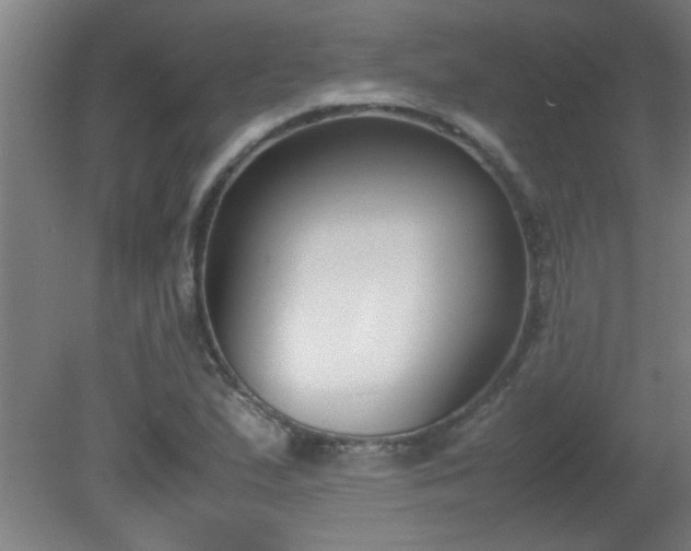 X0000080171167200612151915