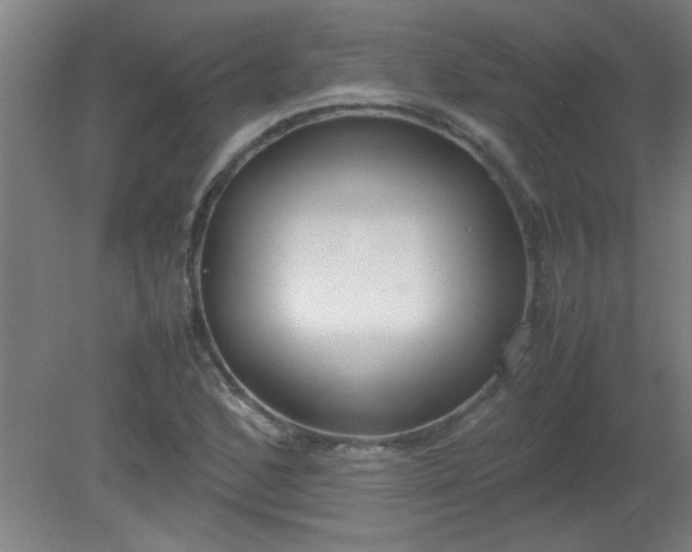 X0000080171168200612151915