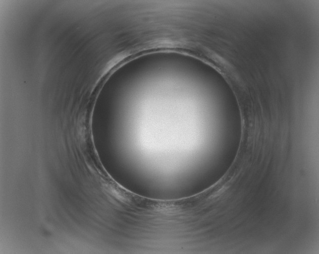 X0000080171170200612151915