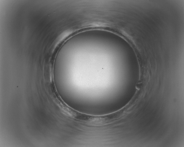 X0000080171171200612151915
