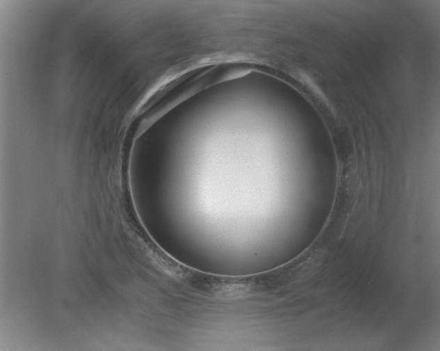 X0000080171173200612151915