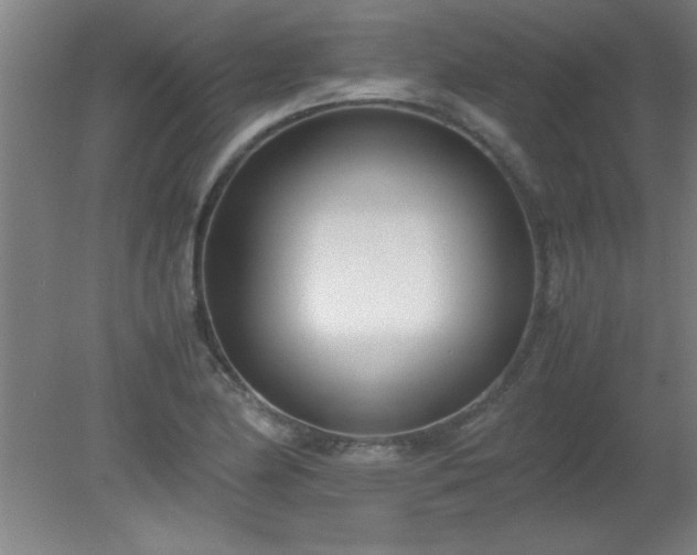 X0000080171174200612151915