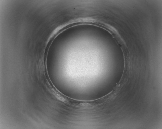 X0000080171176200612151915