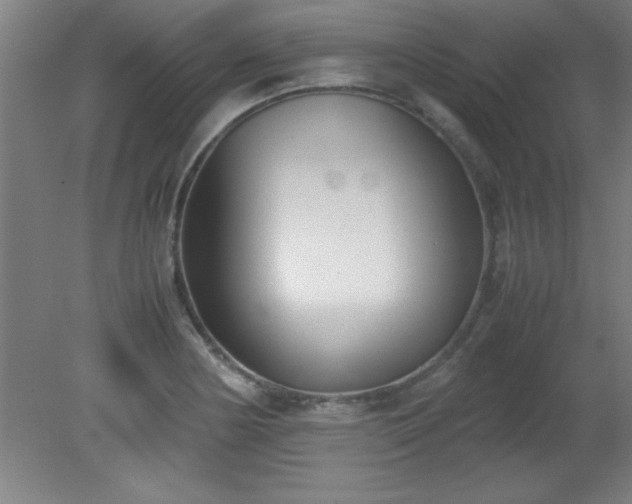X0000080171178200612151915