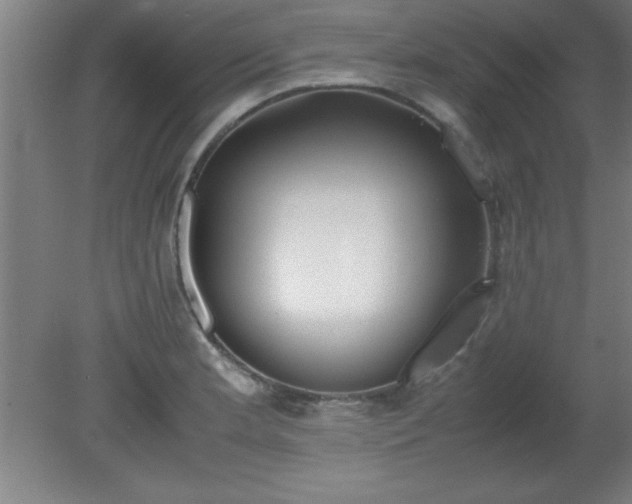 X0000080171181200612151915