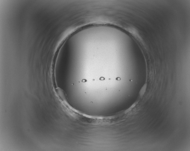 X0000080171183200612151915