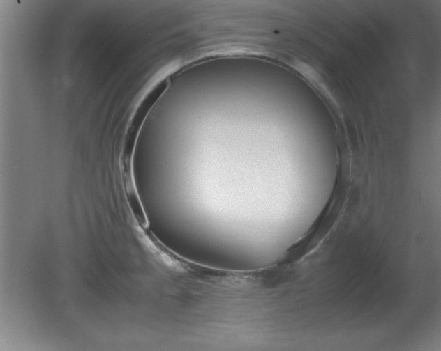 X0000080171189200612151914