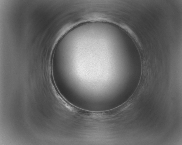 X0000080171191200612151914
