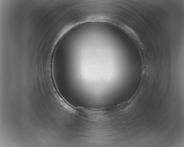 X0000080171192200612151914