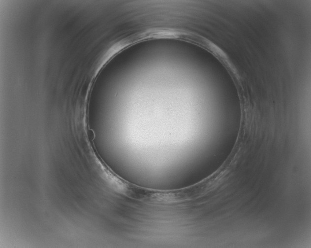 X0000080171194200612151914