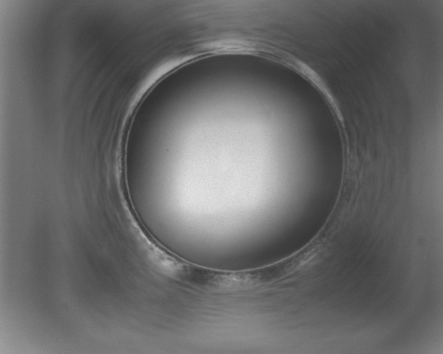X0000080171195200612151914