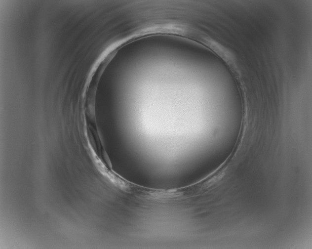 X0000080171200200612151914