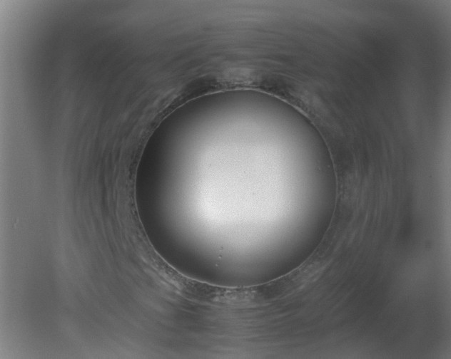 X0000080171201200612151913
