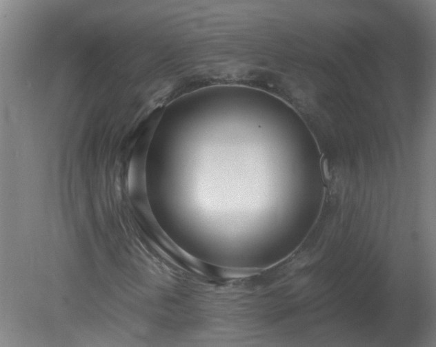 X0000080171202200612151913