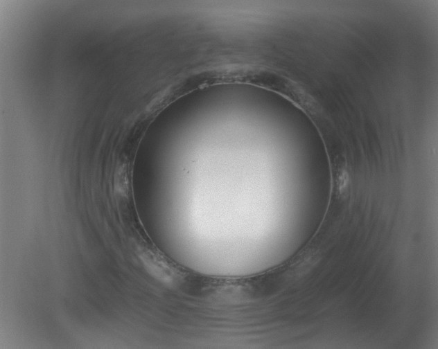 X0000080171204200612151913