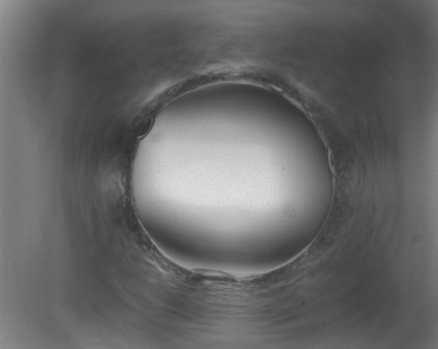 X0000080171206200612151914