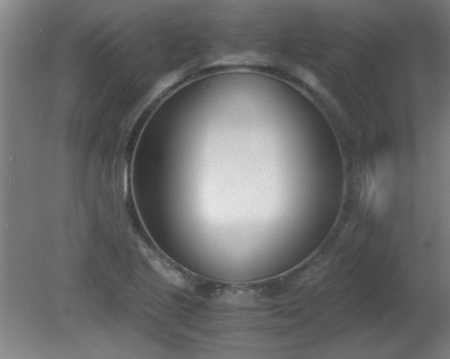 X0000080171221200612151914