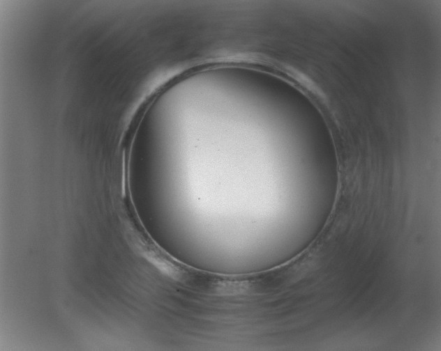 X0000080171223200612151914