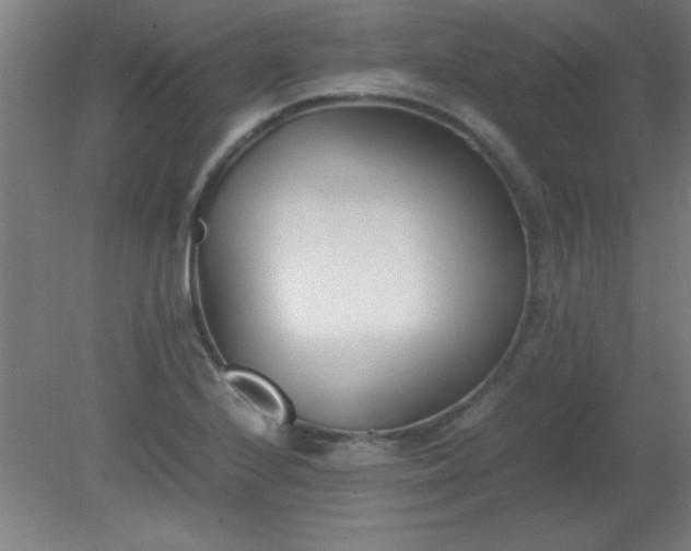 X0000080171224200612151914
