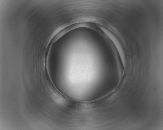 X0000080171226200612151914