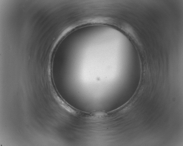 X0000080171232200612151914