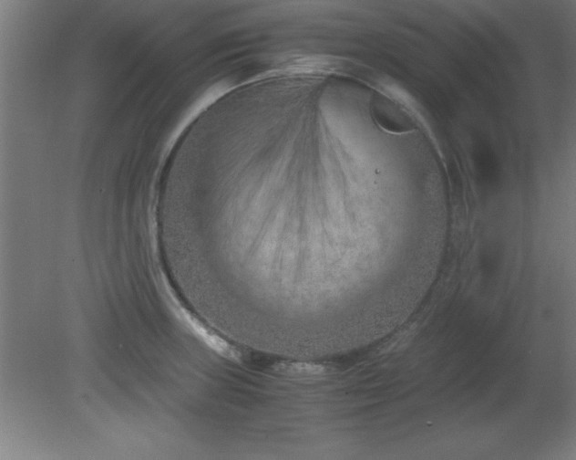 X0000080171235200612151914