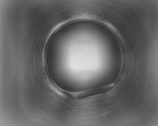X0000080171238200612151914