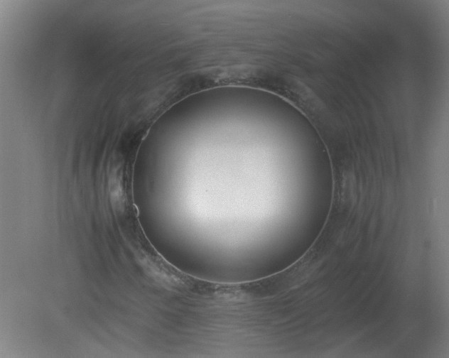 X0000080171250200612151913