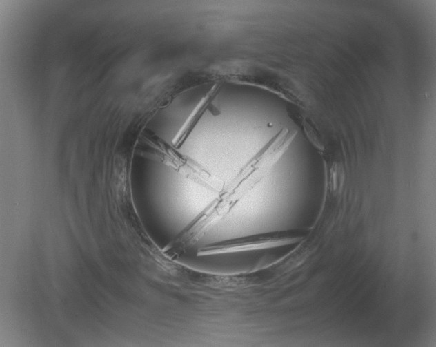 X0000080171251200612151913